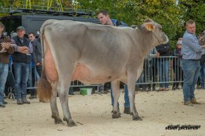 k-AR8I4472 Vizemiss Portmann BS Big Star BALANCE
